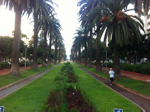Jardin Casablanca